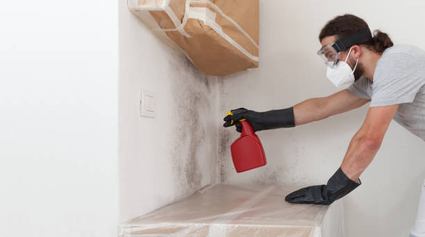 Professional Basement Mold Remediation technician working in Poolesville, MD