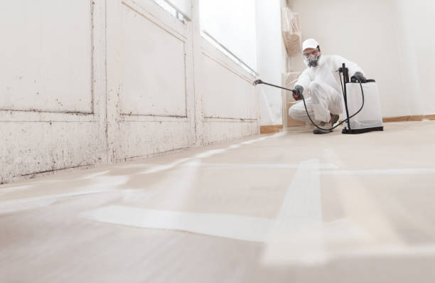 24/7 Emergency Basement Mold Remediation experts in Poolesville, MD